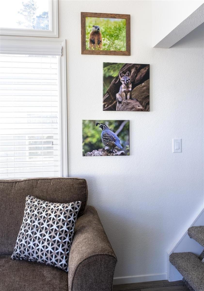 Villa Woodchuck Flat Fort Bragg Exterior foto